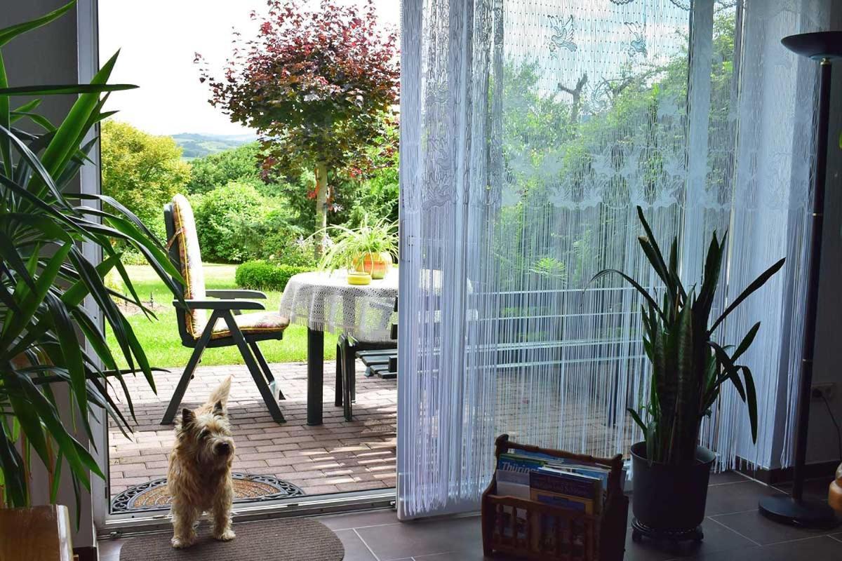 Landhaus Kuehn Bad Salzungen Ngoại thất bức ảnh
